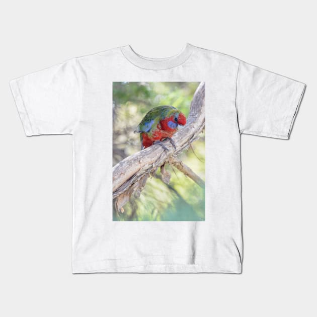 Juvenile crimson rosella 02 Kids T-Shirt by fotoWerner